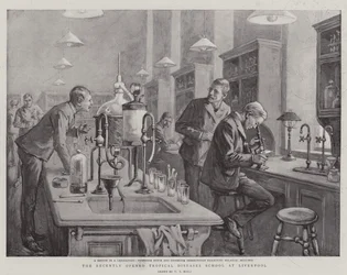 The Recently Opened Tropical Diseases School at Liverpool